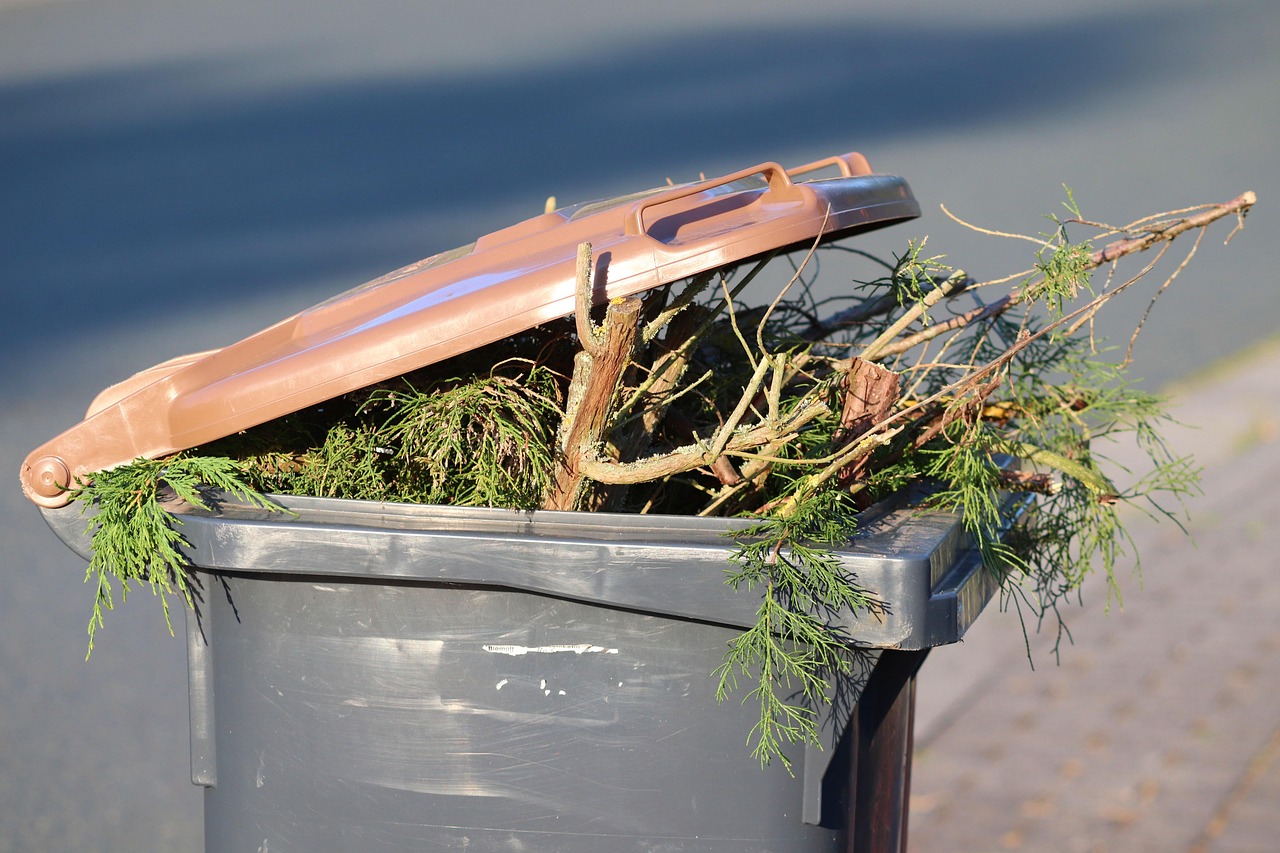 Potentials of recycling wastes